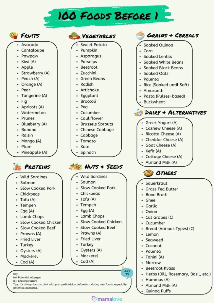 100 Foods Before 1 Baby Led Weaning Guide