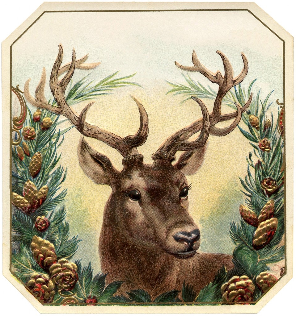 25 Deer Clipart Antlers Too The Graphics Fairy
