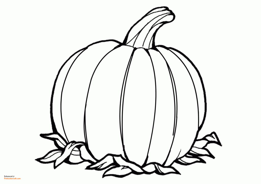 30 Free Printable Pumpkin Coloring Pages Porn Sex Picture
