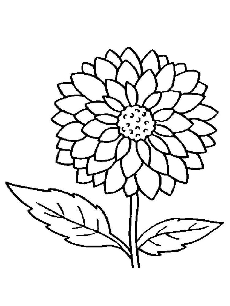 40 Coloring Pages Flowers Printable Free Wallpaper