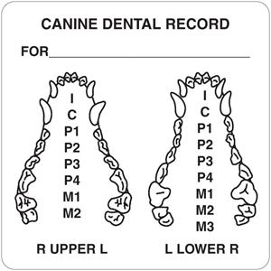 CANINE DENTAL RECORD AN432