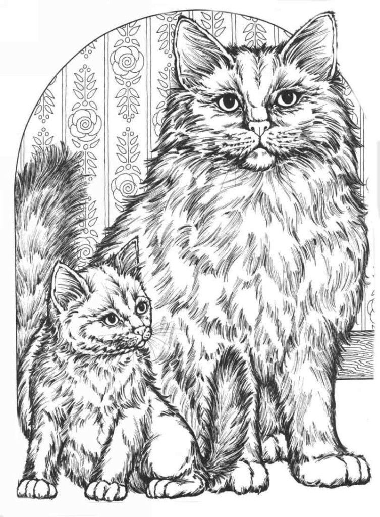 Cat Coloring Pages Printable Realistic Real Cat Coloring Pages At 