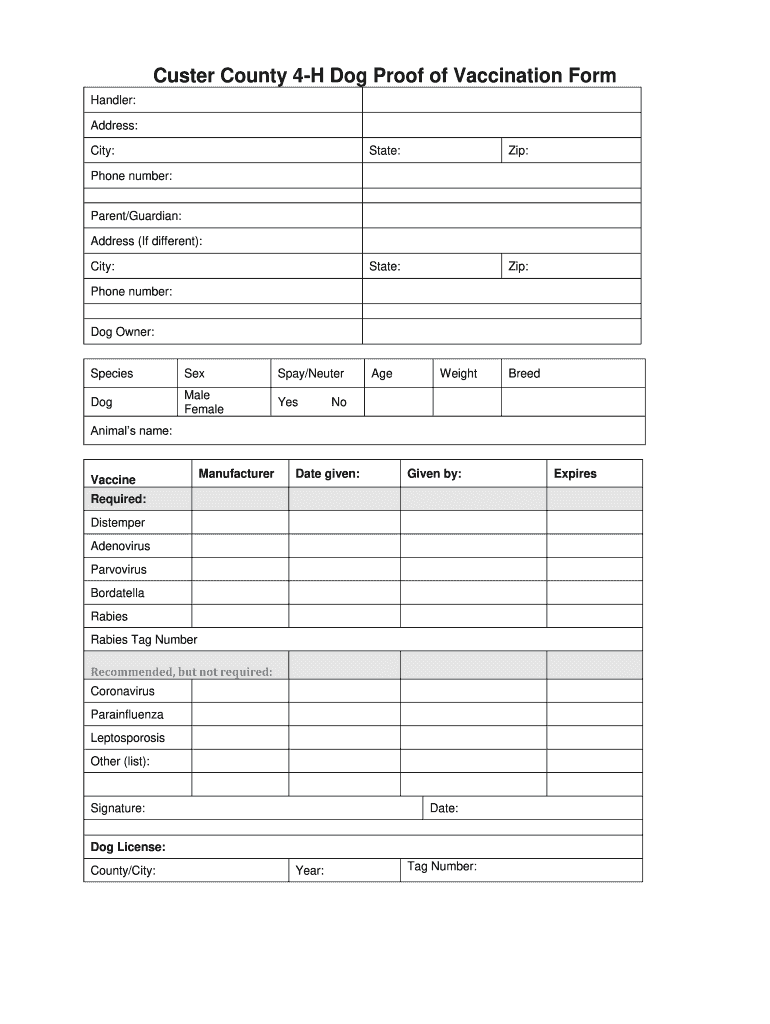 Dog Vaccination Record Printable Pdf