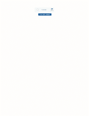 Fillable Online Printable Paper Airplane Templates Pdf Printable Paper 