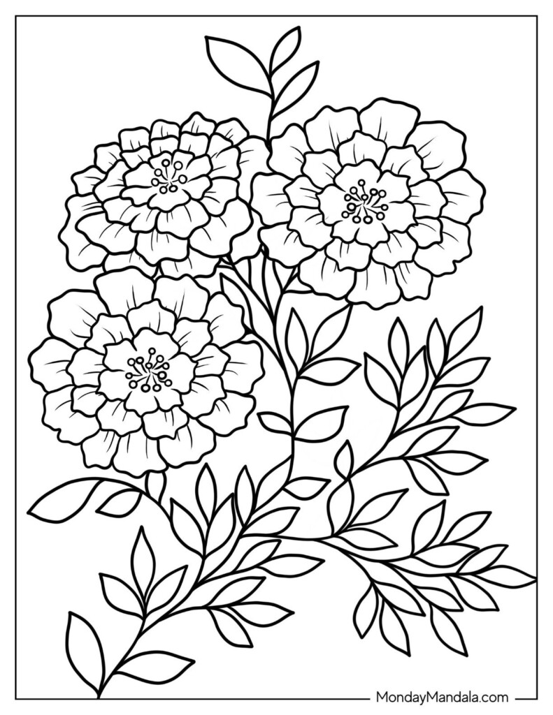 Flower Printable For Coloring Flowers Coloring Pages