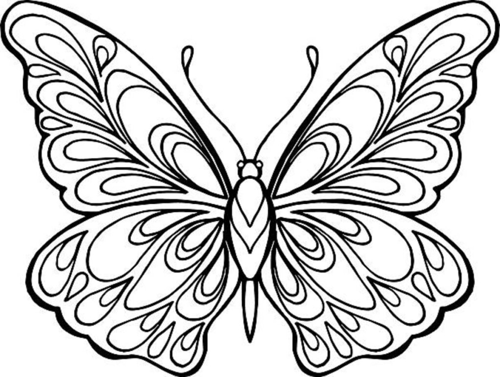 Free Butterfly Color Pages A Colorful Adventure For Kids