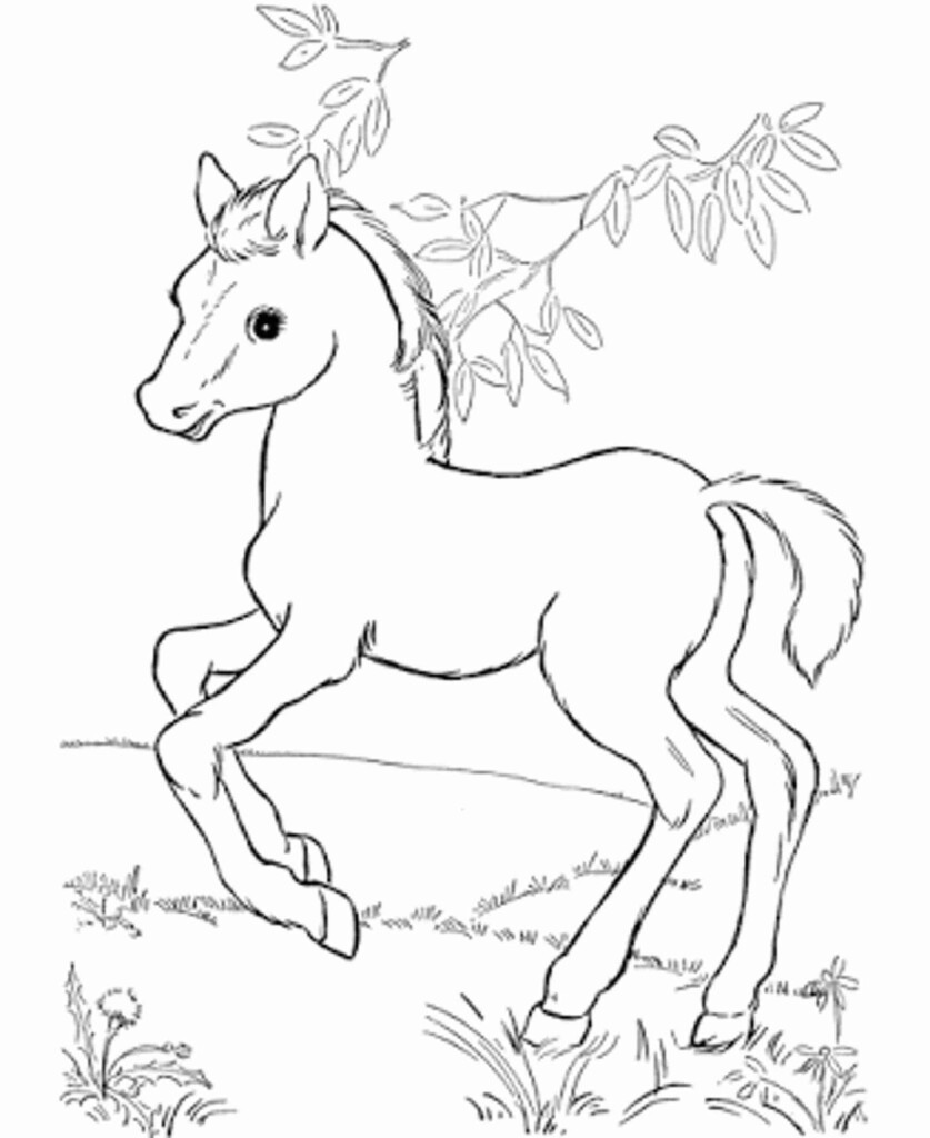 Free Coloring Pages Printable Horse Printable Online