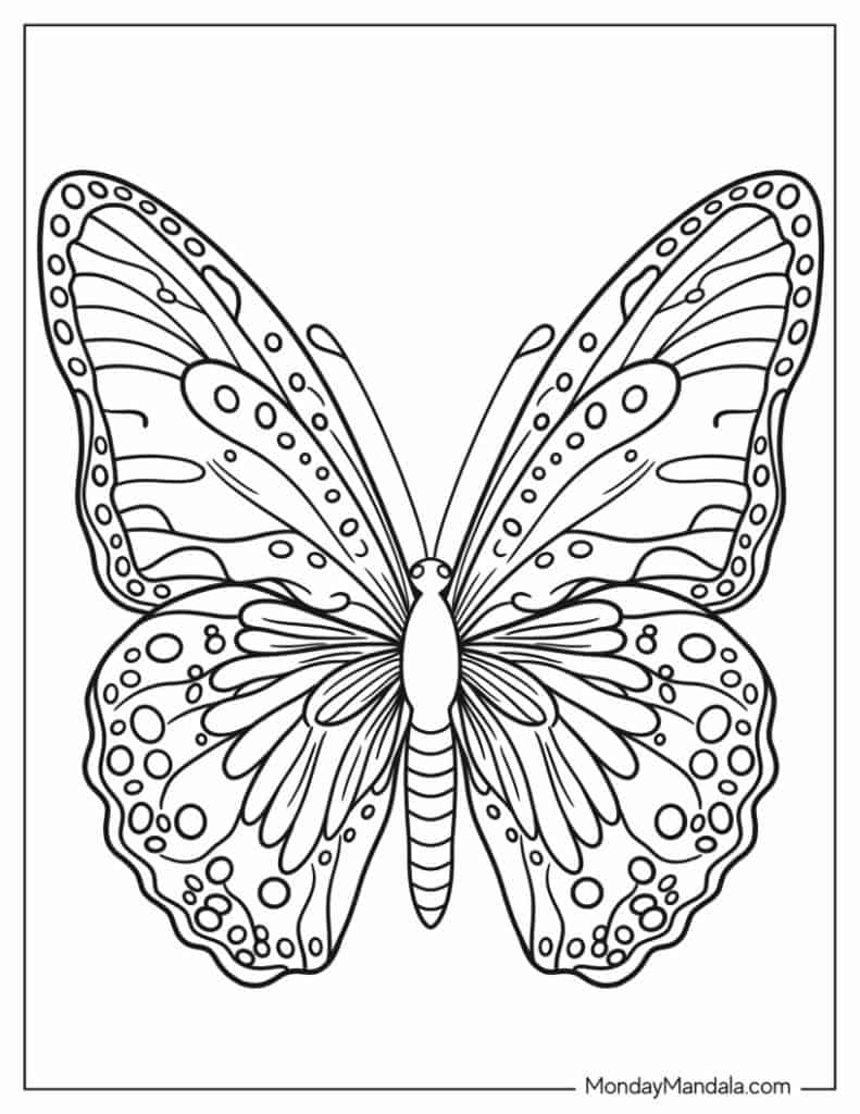 Free Printable Butterfly Coloring Pages Free Printables Hub