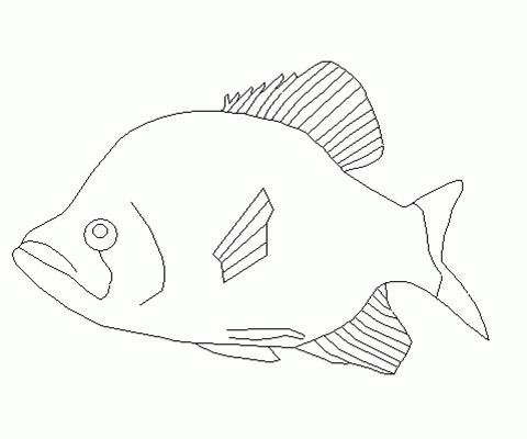Free Printable Fish Patterns InfoCap Ltd 