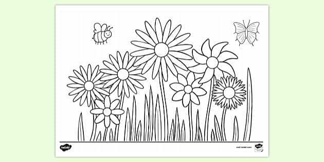 Free Printable Flower Colouring Page Colouring Sheets