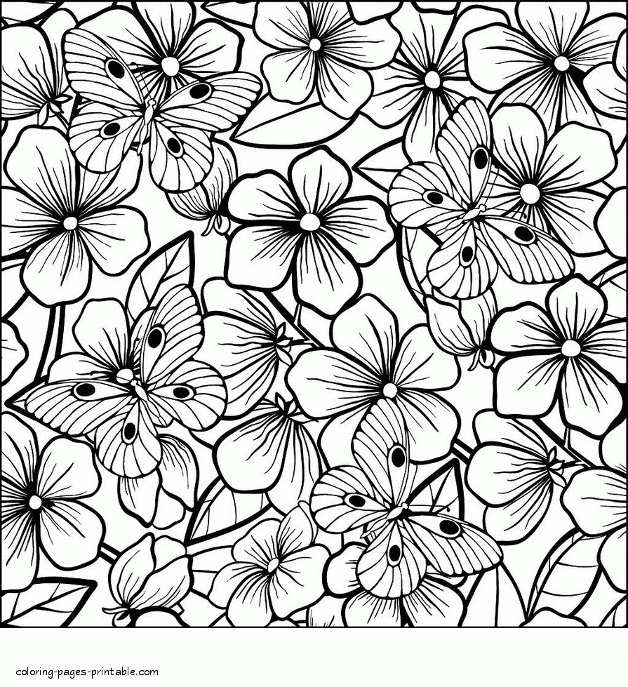 Full Page Butterfly And Flowers Coloring Sheet COLORING PAGES