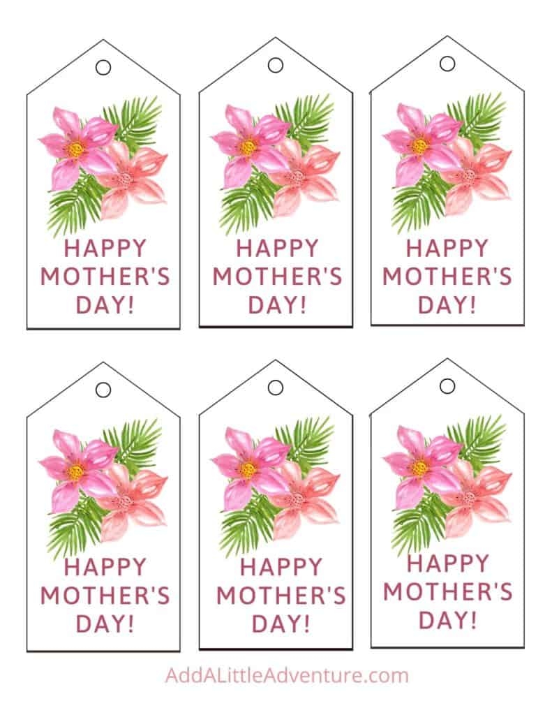 Mother 39 s Day Tags Free Printables Add A Little Adventure