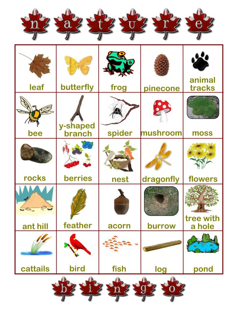 Nature Scavenger Hunt Bingo Scavenger Hunt For Kids Printable Bingo 