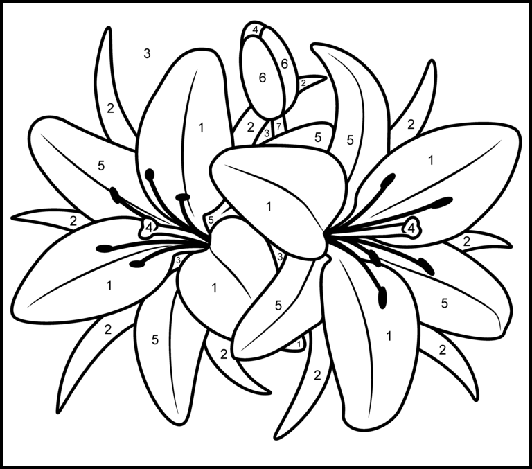 Printable Paint By Numbers Coloring Home