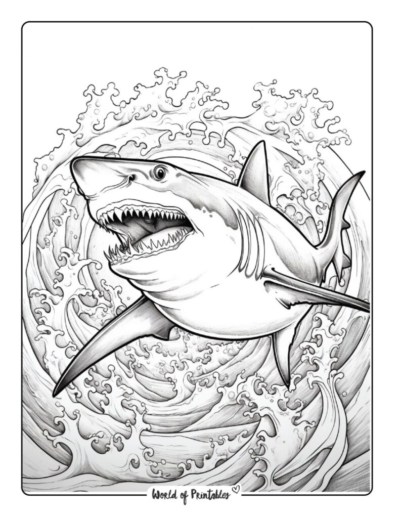 Shark Coloring Pages For Kids Adults World Of Printables