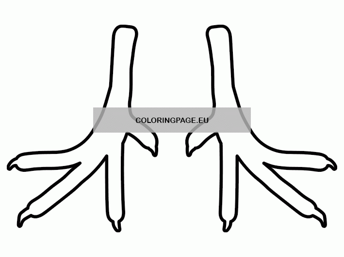 Turkey Feet Pattern Coloring Page