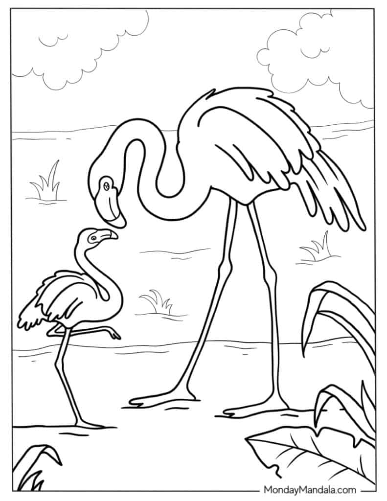 29 Flamingo Coloring Pages Free PDF Printables