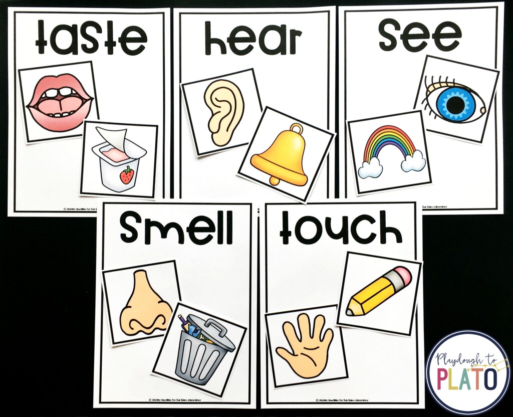 5 Senses Sorting Mats Playdough To Plato