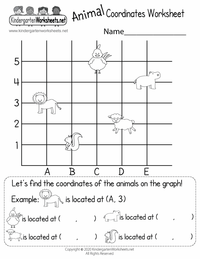 Animal Coordinates Worksheet Free Printable Digital PDF