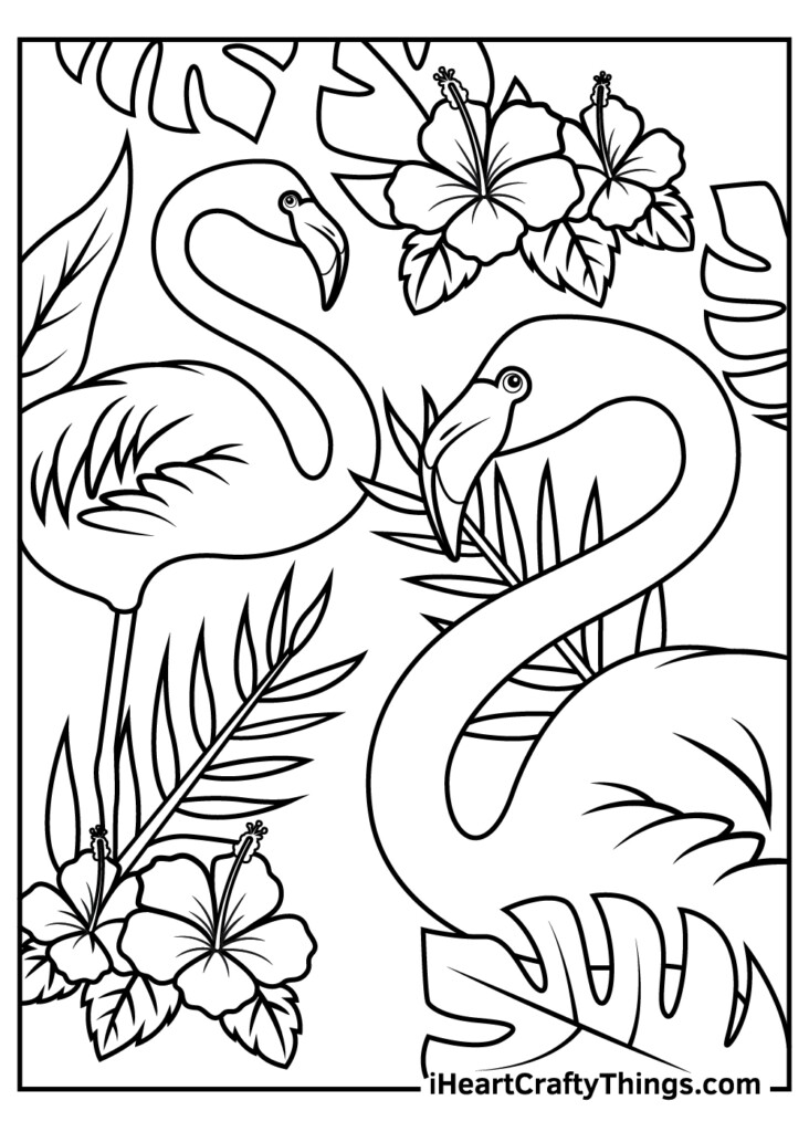 Flamingo Coloring Pages Online And Printables 