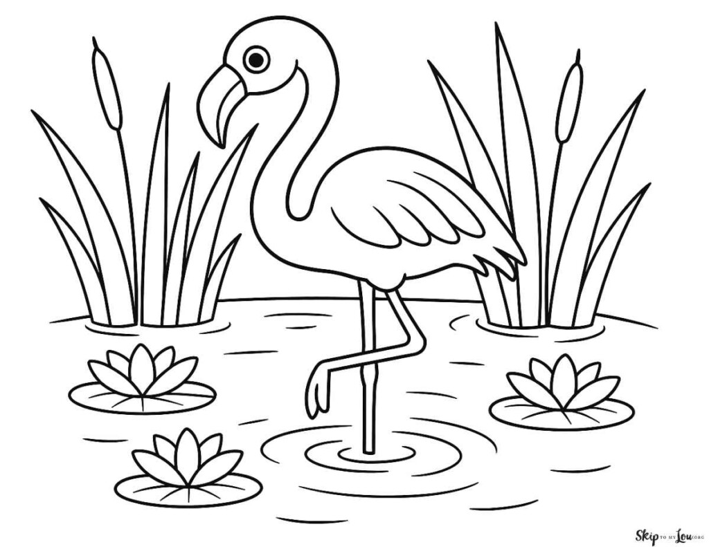 Flamingo Coloring Pages Skip To My Lou