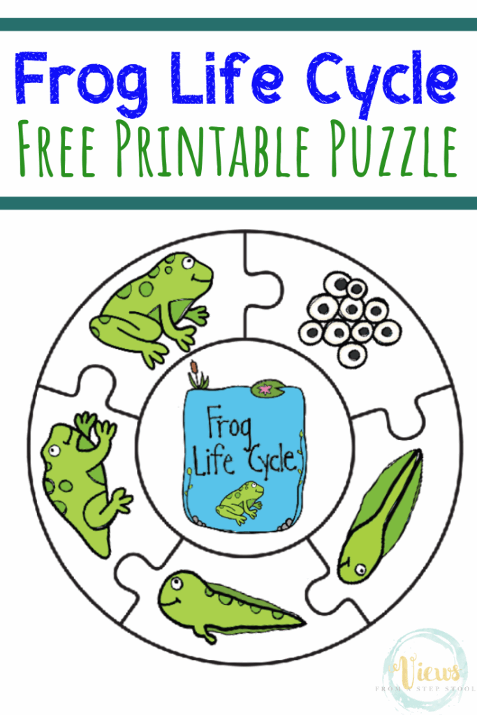 Frog Life Cycle Printable Board Game Views From A Step Stool