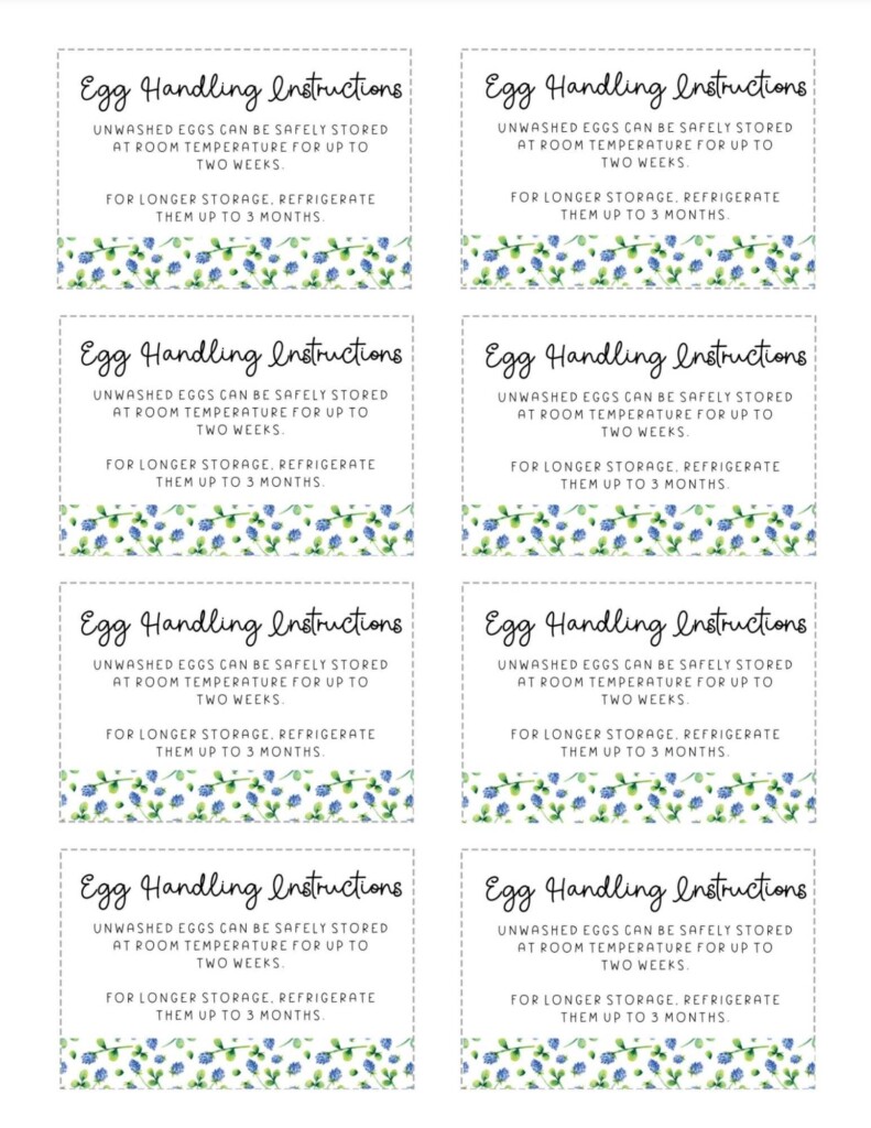 Printable Egg Handling Instructions Cute Free 